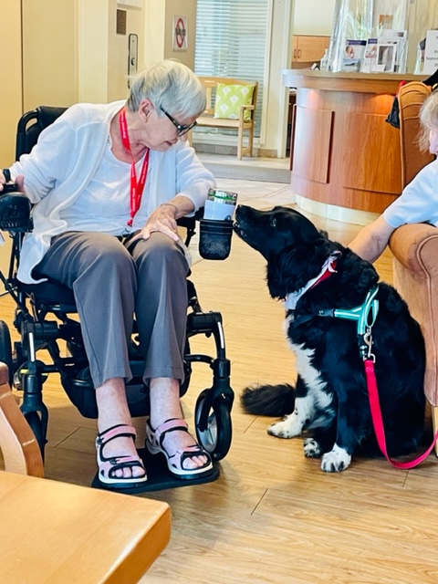 Woman in chair sitting beside black dog 