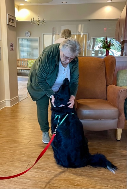 Woman leaning down to pet black dog