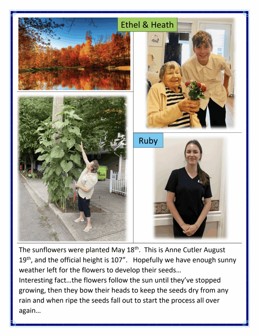 Sherwood House September 2025 Newsletter